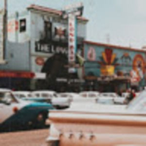 Meet your Posher, Stella